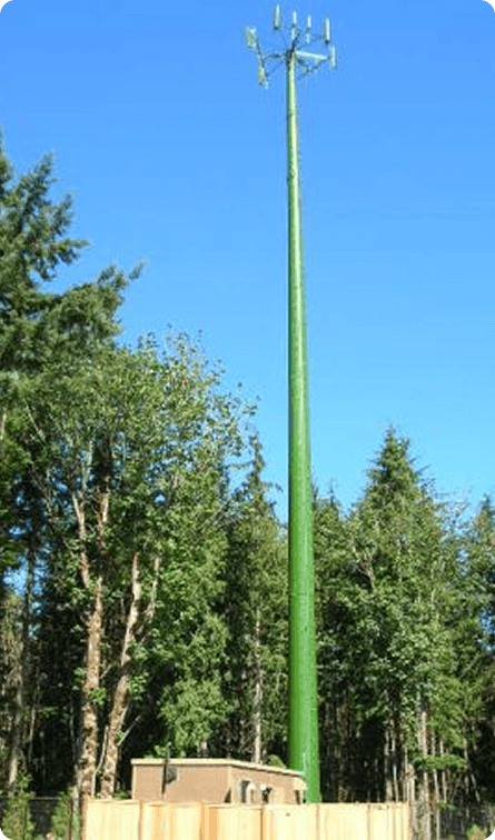 Monopoles 2