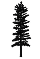 Monopines