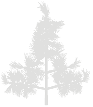Service Illustration